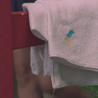 MINI Magic Towel Video